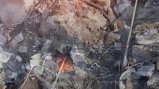 ЧЕСТНО НЮЗ 29.04.
