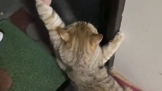 Funniest animal video @Funtime24