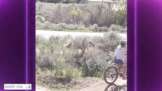 hilarious funny videos come see