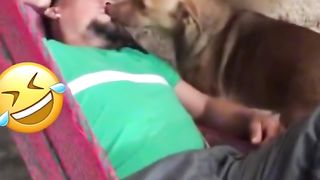 funniest video 2023