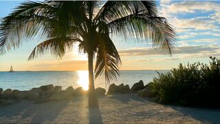 Escape to Paradise: Tropical Landscapes and Zouk Music