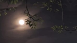 besutiful moon pyara chand