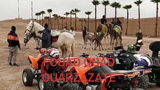 quads & camels