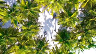 Tulum Island Escape: Zouk Music and Underwater Wonders of the Tulum