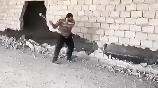 Funny 462