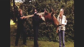Best animal prank very fanny