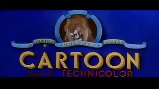 Tom and jerry funny cartoon 2