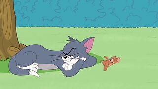 Tom and jerry 11