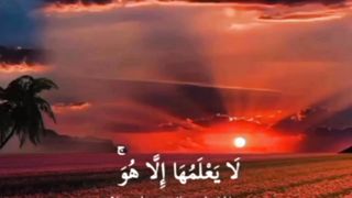 Subhan ALLAH ❤️❤️