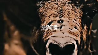 Cristiano Ronaldo suiiiiiiiiiiiii