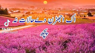 Video viral poetry