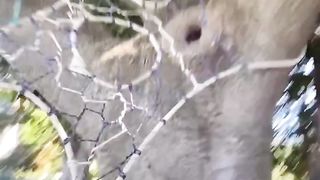 Party in the tree..,Great project from last summer..