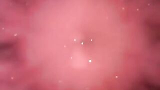 Pink panther 17