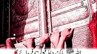 video 45