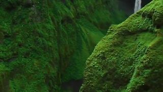 Naturegrophy