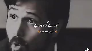 Shair 3