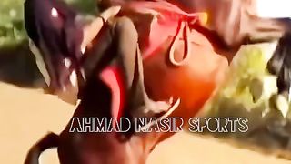 #top#hoprse#jumping#dance#of#world#best#horse