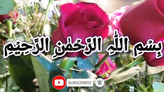 Surah Al Araf With Urdu Translation full | Episode 135/14 |سورہ الاعراف | #quran #tilawat
