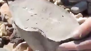 اللہ کی قدرت 2