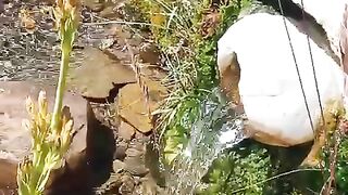 Mountain water.