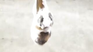 funny video 90
