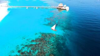 Tropical Paradise: Discovering the Exotic Beaches of Seychelles and Bora Bora with Zouk Music