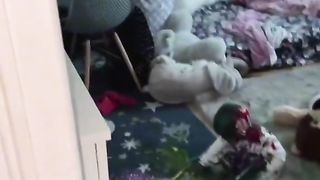 1 дакика ёлгиз колдирсанг