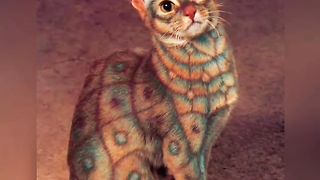 Удивительные породы кошек.