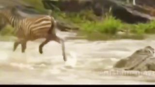 Ишдан чарчаб келганда