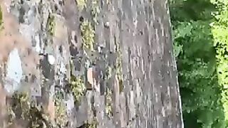 Couvreur