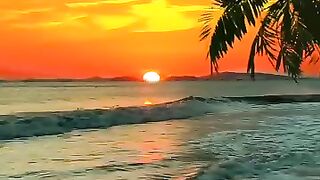 Nature refers to the natural world