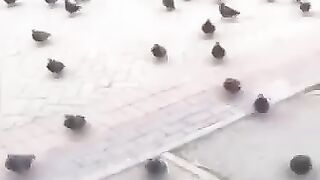 Maktabdagi qizlar????????