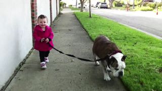 Baby & the Bulldog
