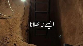 Wapis loat k b Jana he hum sub ne