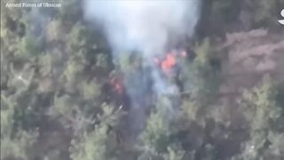 Ukrainian artillery destroys Russian Howitzer guns near Dnipro
