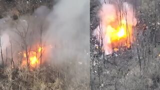 Ukrainian Territorial Defence Forces blow up Russian ammo dump