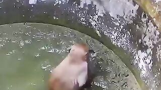 a miracle of God