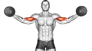 14 Exercises with Dumbbells At Home