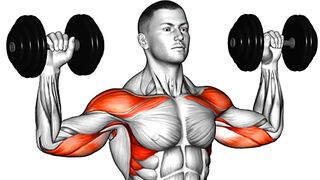 10 Best Dumbbell Exercises for Building Muscle At Hom