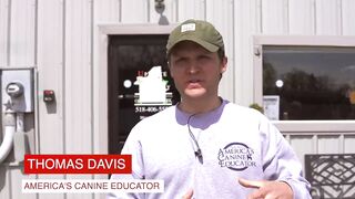 THE BIGGEST OVERLOOKED DOG TRAINING COMMAND!