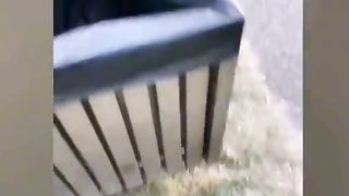 funny videos pt1
