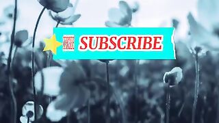 video 46