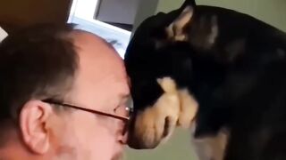 Animal funny video clip 2023 4