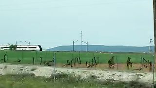 Racing with Train