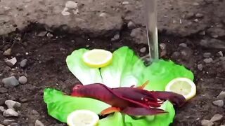 Life hacks, easy life hacks, 5 minute crafts