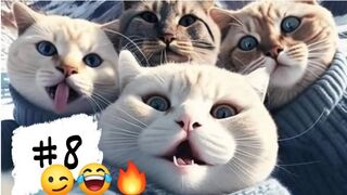 CUTE AND FUNNY ANIMAL VIDEOS .THE BEST! 2