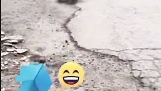 So funny video small dog