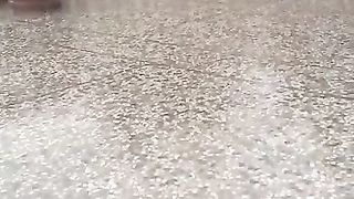 Barish ka din