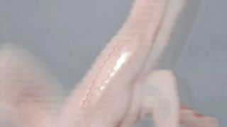 #hand video