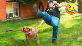 Funniest Animal Videos 2023 ???? - Best Funny Cats & Dogs Videos ???? 2